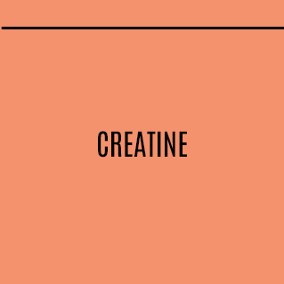 Creatine feature image 01
